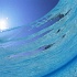 GJ031 350A