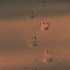 GJ084 350A
