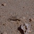 GJ085 350A