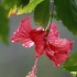 GJ123 350A