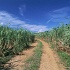 GJ147 350A